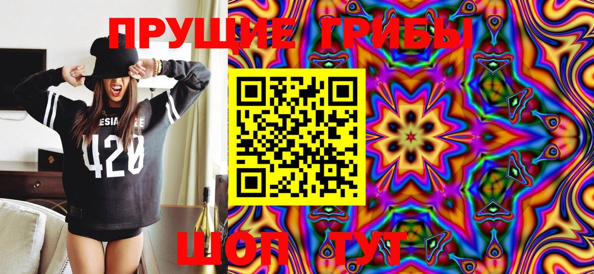 Галлюциногенные грибы Magic Shrooms  купить наркотик  Кольчугино  Вход с VPN 