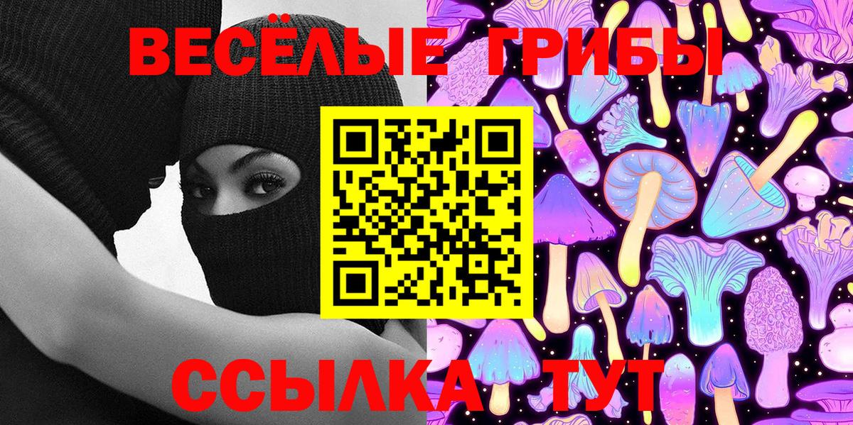 Галлюциногенные грибы Psilocybe Кольчугино